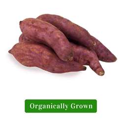 Organic Sweet Potato/Organic Shakarkandi